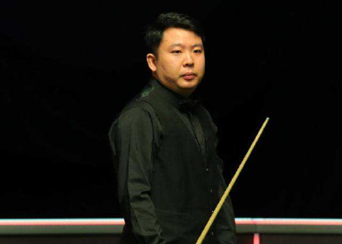 他们引进了 他们引进了